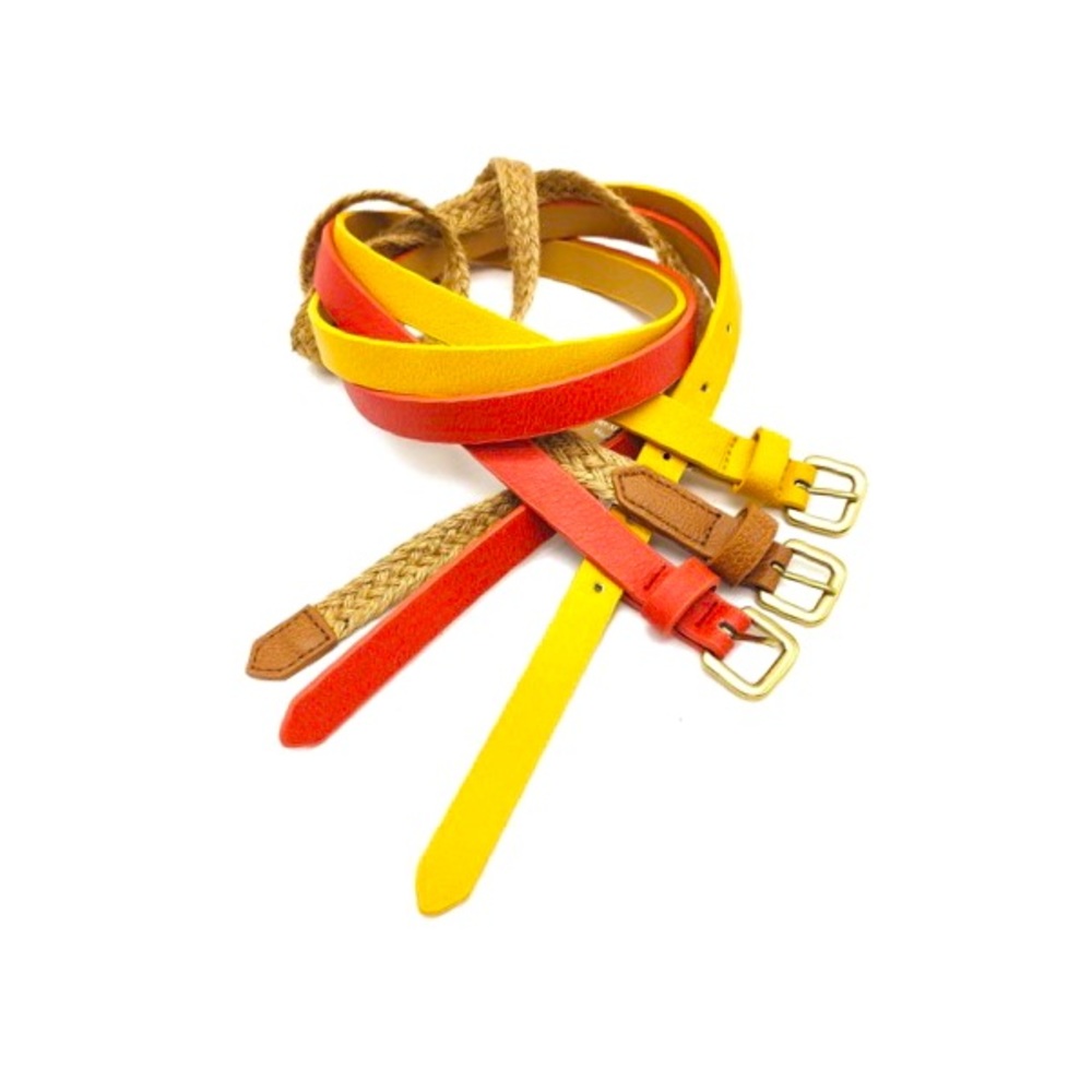 LINEA PELLE
Skinny Belts In Multi